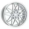 Silver Painted