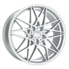 Silver Painted