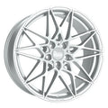 Silver Painted